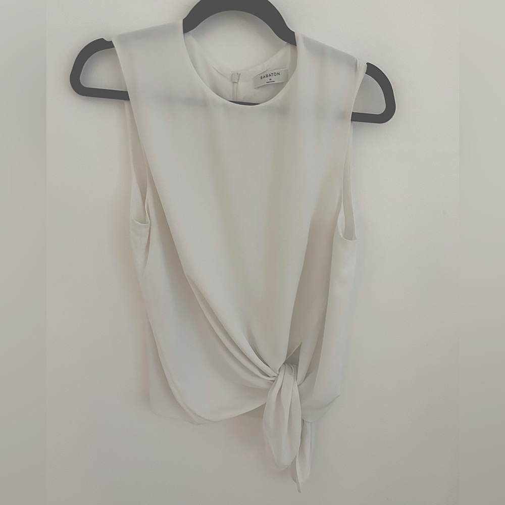 Aritzia Babaton white Hopkins blouse